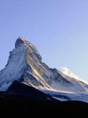 Falling for You: The