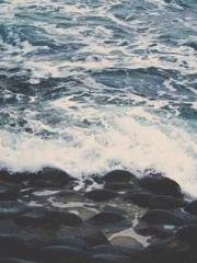 Reborn in the Apocal