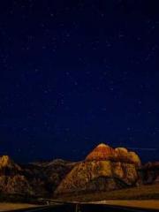 The  Princess  Rebor