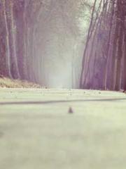 The Legend of the Dr