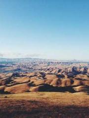 The Exclusive Daught