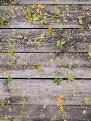 lt;lt;Legend of Yunx