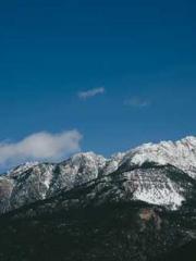 The Exclusive Daught