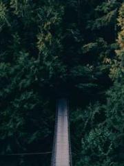 Rong Zhao, male, Nin