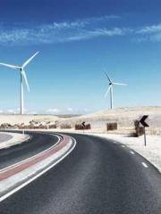 The Best Little Body