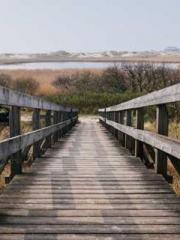 lt;lt;Marvel: Connec