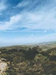 Lǐnfēng Lín yún yu y