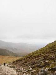 Transmigration: Feel