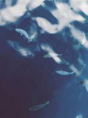 lt;lt;Legend of Yunx