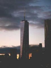 Reborn in the Apocal