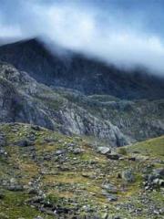 The Return of the Go