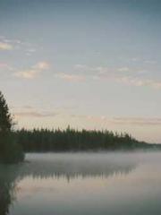 Professor Yan is goi