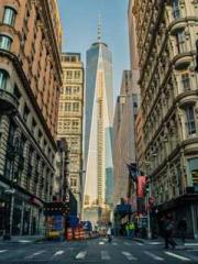 lt;gt;The son of a w