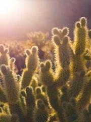 Super Dimensional Me