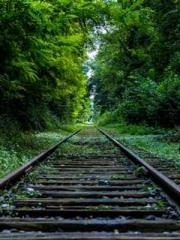 Eternal Sword Ancest