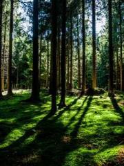 Fast Travel: The Vil