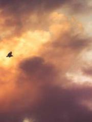 Super Dimensional Me