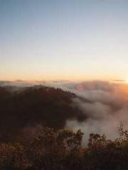 The Best Little Body