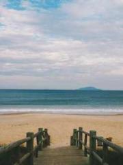 Rebirth of the Urban