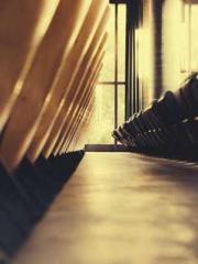 lt;Gingerly, Shen Qi