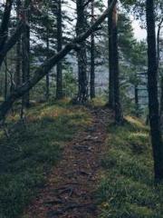 Rebirth of the Super