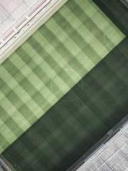 Chen Pingapos;an and