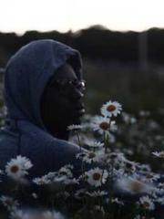 lt;lt;lt;Lin Feng Li