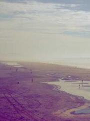 Eternal Sword Ancest